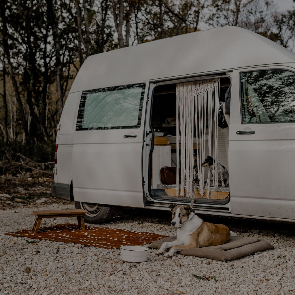 Hund liegt auf einem Hundebett vor einem Camper im Urlaub