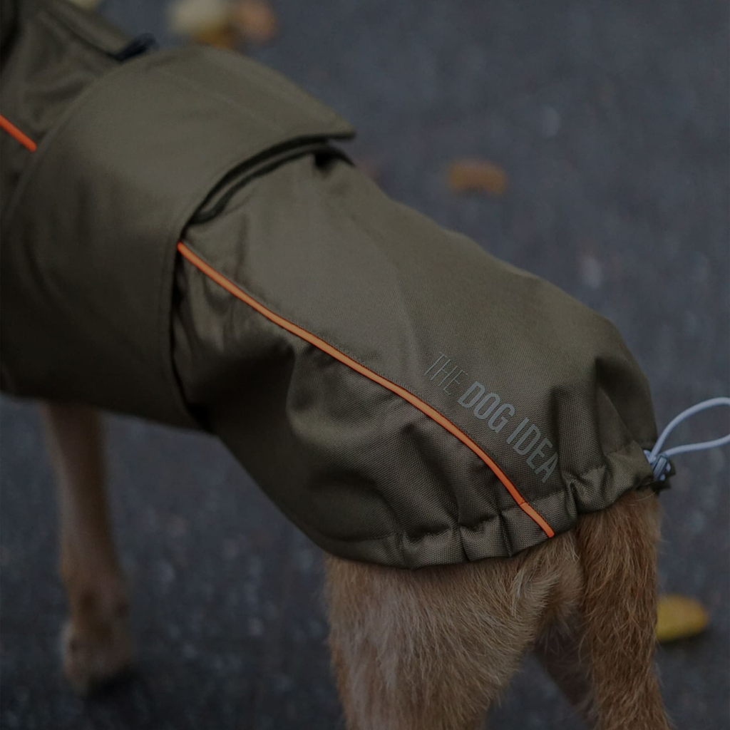 Ein Hund trägt einen Winter Hundemantel Khaki