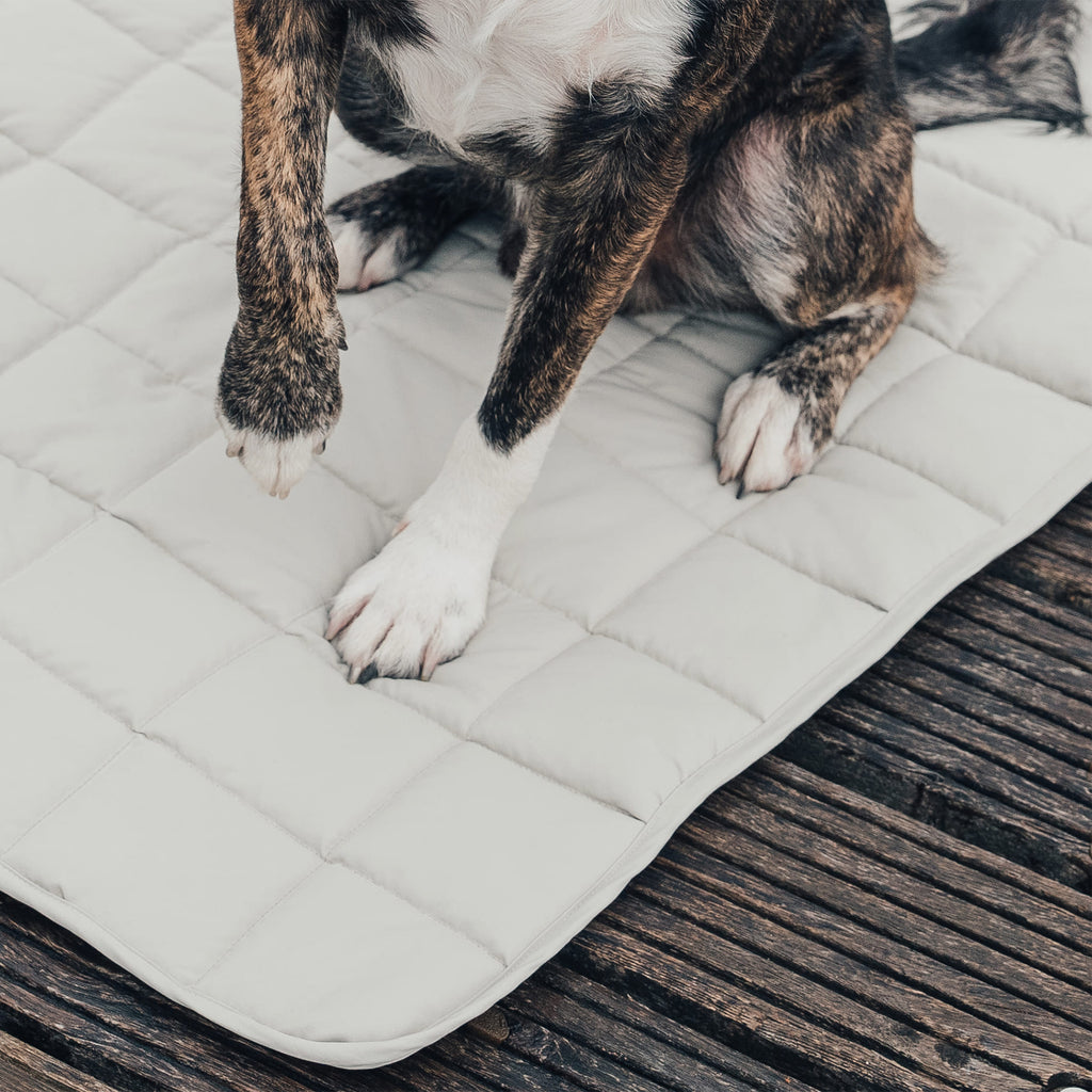 Hund liegt auf einem Hundebett auf einer Terasse