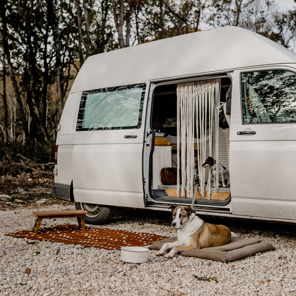 Hund liegt auf einem Hundereisebett vor einem Camper Automobil