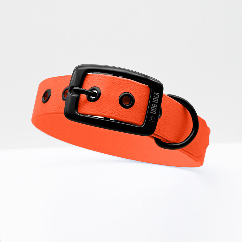 Biothane Hundehalsband in Orange mit schwarzer Schnalle